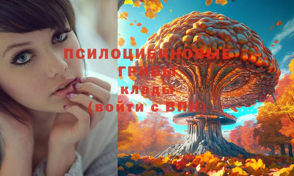 mdpv Богородск