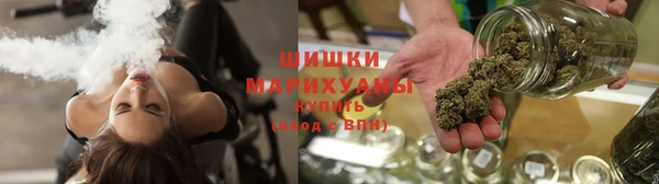 mdpv Богородск