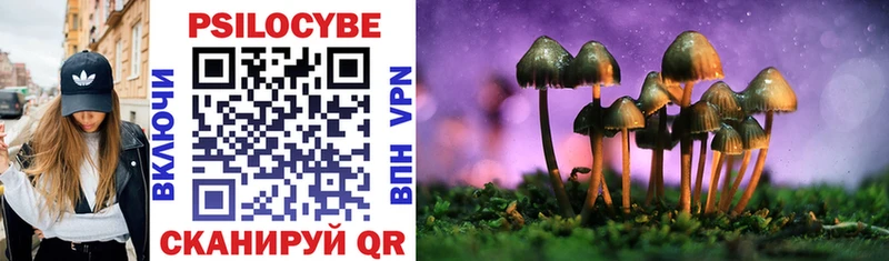 Купить где  Павловский Посад  Галлюциногенные грибы MAGIC MUSHROOMS 