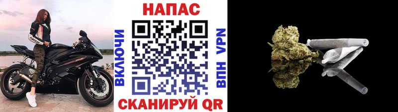 Купить где  Павловский Посад  МАРИХУАНА MAZAR 